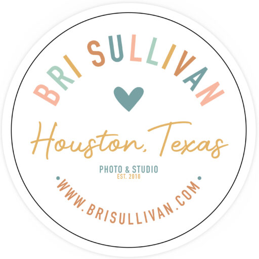 Bri Sullivan Photography - Logo