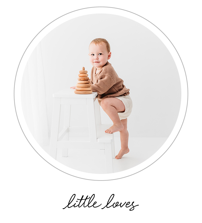 Bri Sullivan Photography - Little Loves Photography Sessions