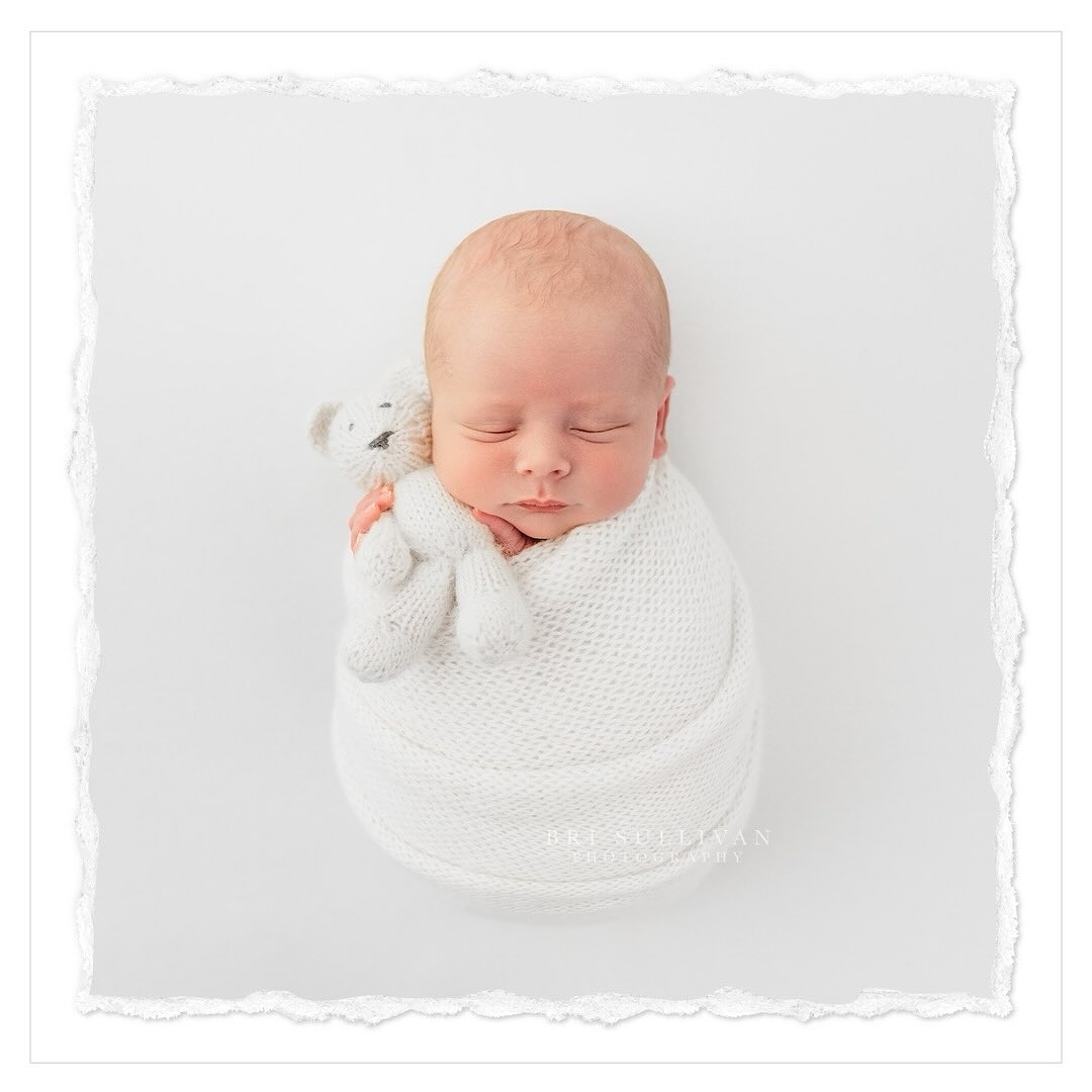 Cut and Shoot Newborn Photography by Bri Sullivan